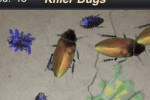 Attack of the Killer Bugs (iPhone/iPod)