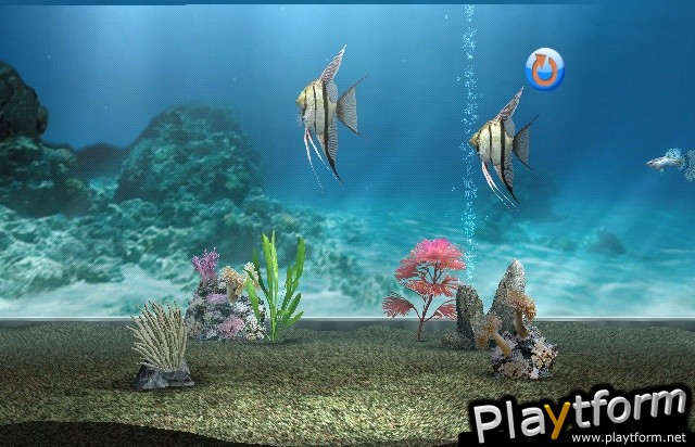 My Aquarium (Wii)
