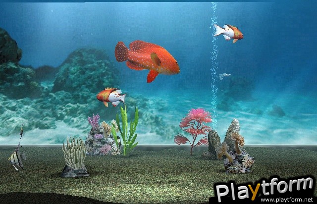 My Aquarium (Wii)