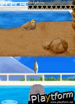 My Pet Dolphin (DS)