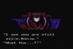 Ninja Gaiden II: The Dark Sword of Chaos (Wii)