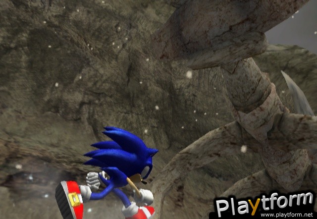 Sonic and the Secret Rings (Wii)