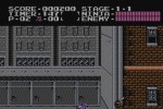 Ninja Gaiden (NES) (Wii)