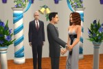 The Sims 2: Celebration Stuff (PC)