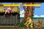 Street Fighter II: The World Warrior (Wii)