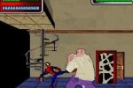 Spider-Man: Battle for New York (DS)