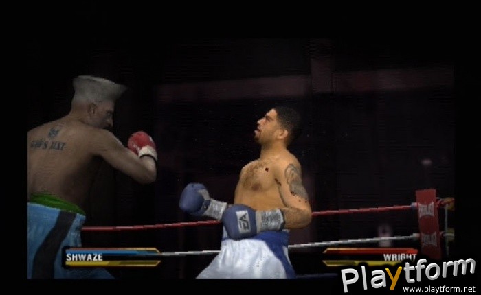 Fight Night Round 3 (PlayStation 2)