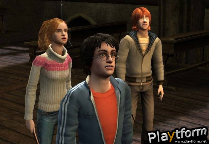 Harry Potter and the Goblet of Fire (PC)