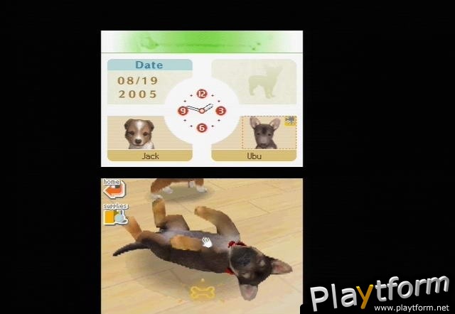 Nintendogs: Dachshund and Friends (DS)