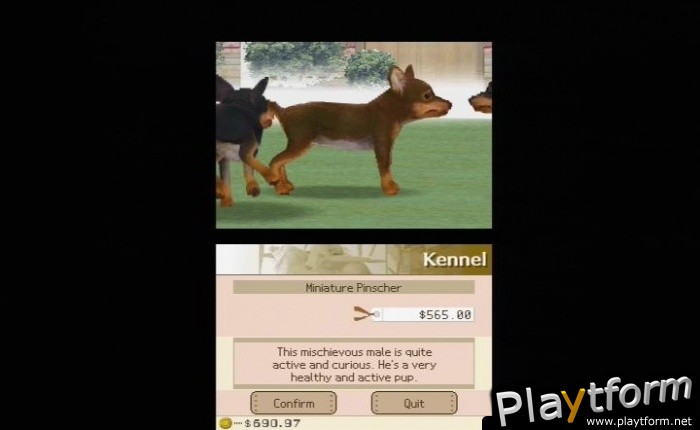 Nintendogs: Labrador and Friends (DS)
