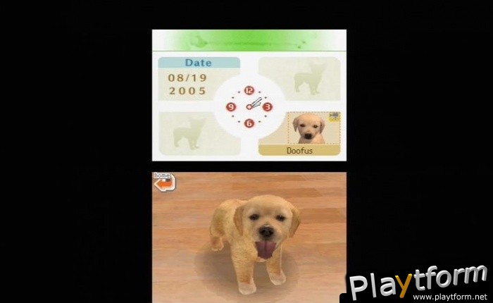 Nintendogs: Labrador and Friends (DS)