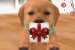Nintendogs: Dachshund and Friends (DS)