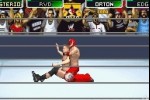 WWE Survivor Series (Game Boy Advance)