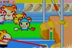 Hamtaro: Ham-Ham Games (Game Boy Advance)