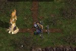 Warlords Battlecry III (PC)