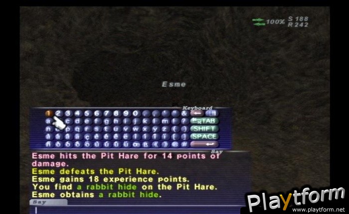 Final Fantasy XI (PlayStation 2)