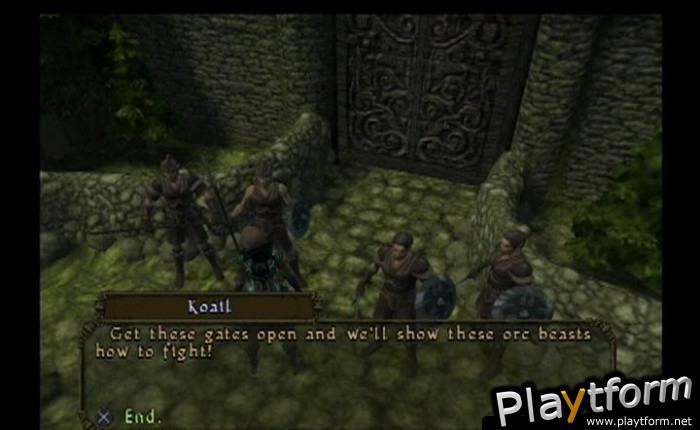 Champions of Norrath (PlayStation 2)