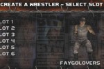 Backyard Wrestling: Don't Try This at Home (PlayStation 2)