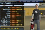 Tony Hawk's Pro Skater 4 (PC)