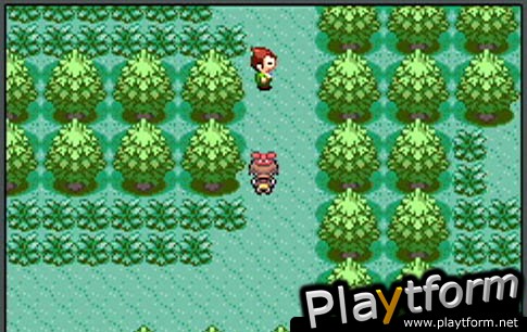 Pokemon Ruby Version (Game Boy Advance)