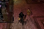 Neverwinter Nights: Shadows of Undrentide (PC)
