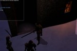 Neverwinter Nights: Shadows of Undrentide (PC)