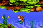Donkey Kong Country (Game Boy Advance)