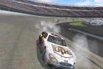 NASCAR Thunder 2003 (PC)