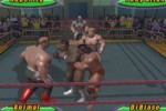 Legends of Wrestling (Xbox)