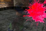 Extreme Paintbrawl 4 (PC)