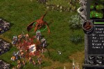 Kingdom Under Fire: A War of Heroes (PC)