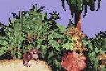 Donkey Kong Country (Game Boy Color)