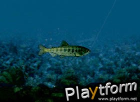 Reel Fishing (PlayStation)