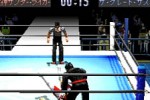 Shin Nippon Pro Wrestling: Toukon Retsuden 3 (PlayStation)