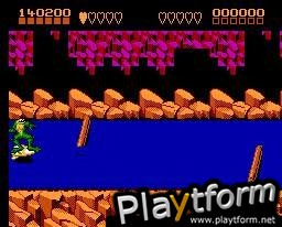 Battletoads (NES)