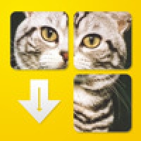 CatPuzzle