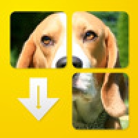 DogPuzzle