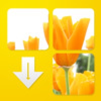FlowerPuzzle