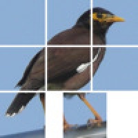 Q's Slider Puzzle: iLove Birds