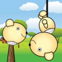 !Run Teddy Run!