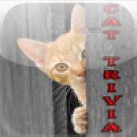 Cat Trivia