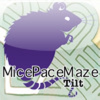 MicePaceMaze Tilt