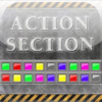 Action Section