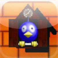 Crazy Birds !