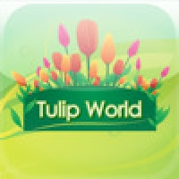 Tulip World