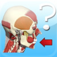 Head & Neck Quiz