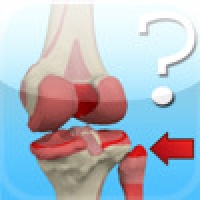 Anatomy Knee Quiz