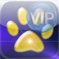Idioms Expert VIP Version