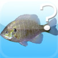 Name This Fish