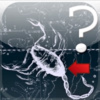 Constellation Quiz